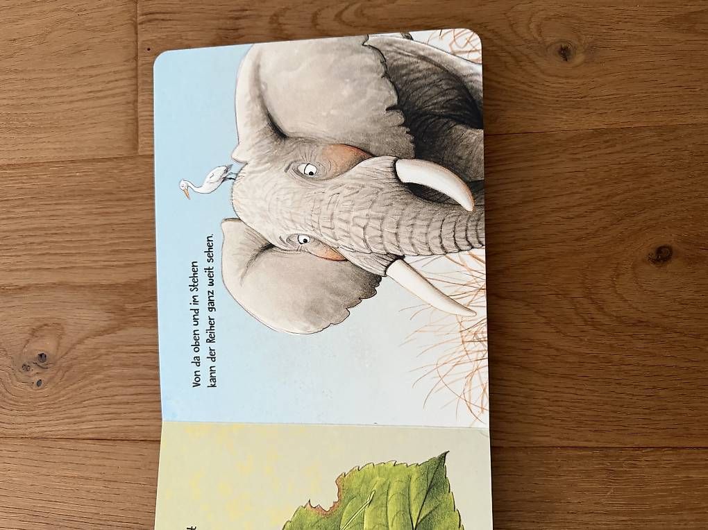 Libri: Kinderbuch Huckepack Tiere – Usato da Lüterkofen venduto da GiCa_ 1