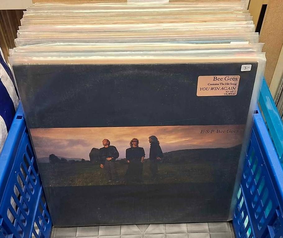 Dischi in vinile: Schallplatten – Usato da Schönenwerd venduto da roz286