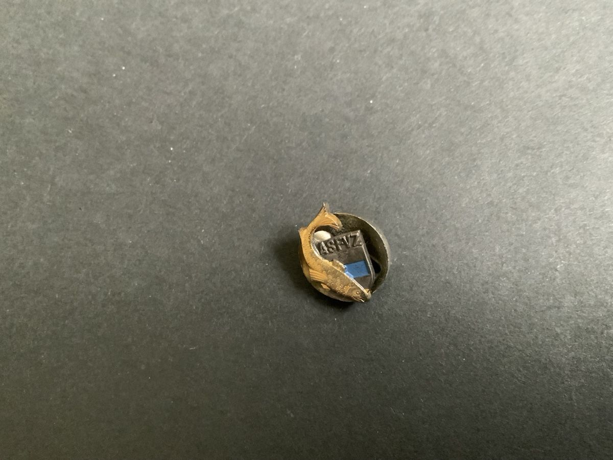 Plaquettes & Badges: Fischer Pin – D'occasion à Binningen par chr_cr5n