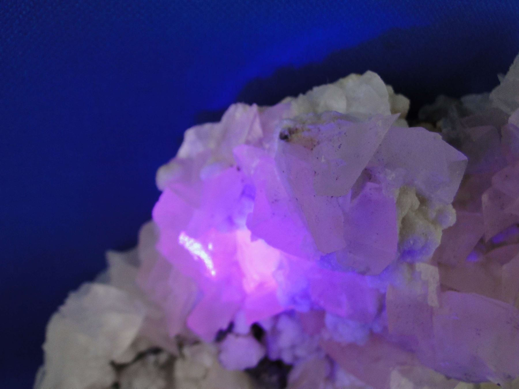 Minerali & Pietre curative: Calcit (UV-Pink) mit Arsenopyrit – Usato da Schinznach Bad venduto da Demerald 9