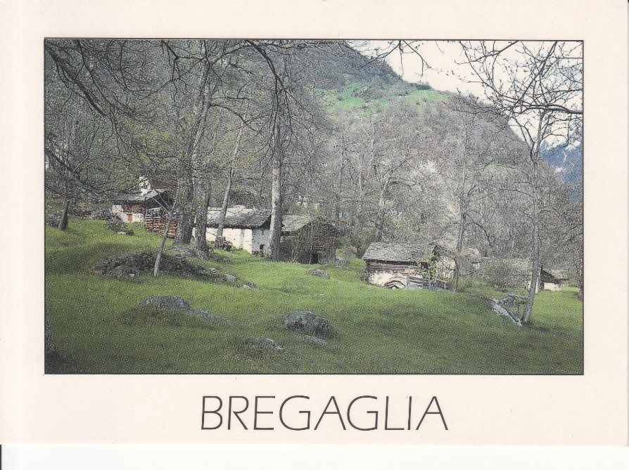 Cartoline postali: Bregaglia, ca. 1980 – Usato da Bürglen TG venduto da StampGraf