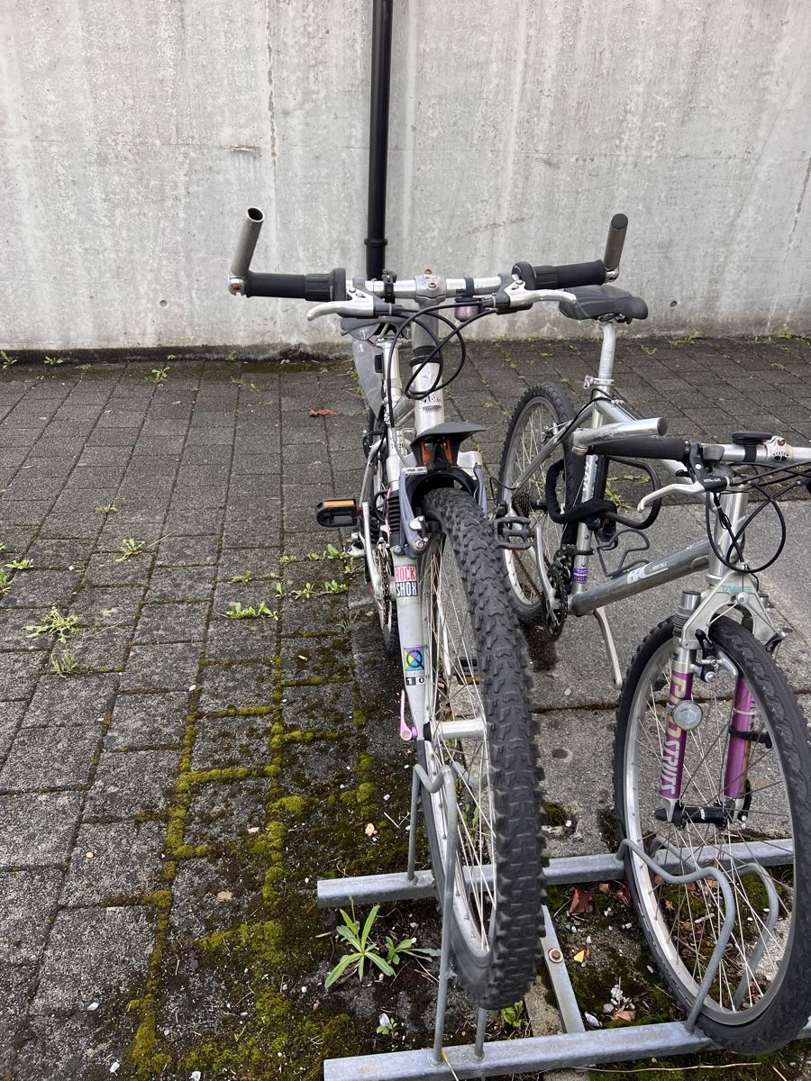 Raleigh Biciclette: Mountainbike Raleigh – Usato da Uster venduto da NElsner