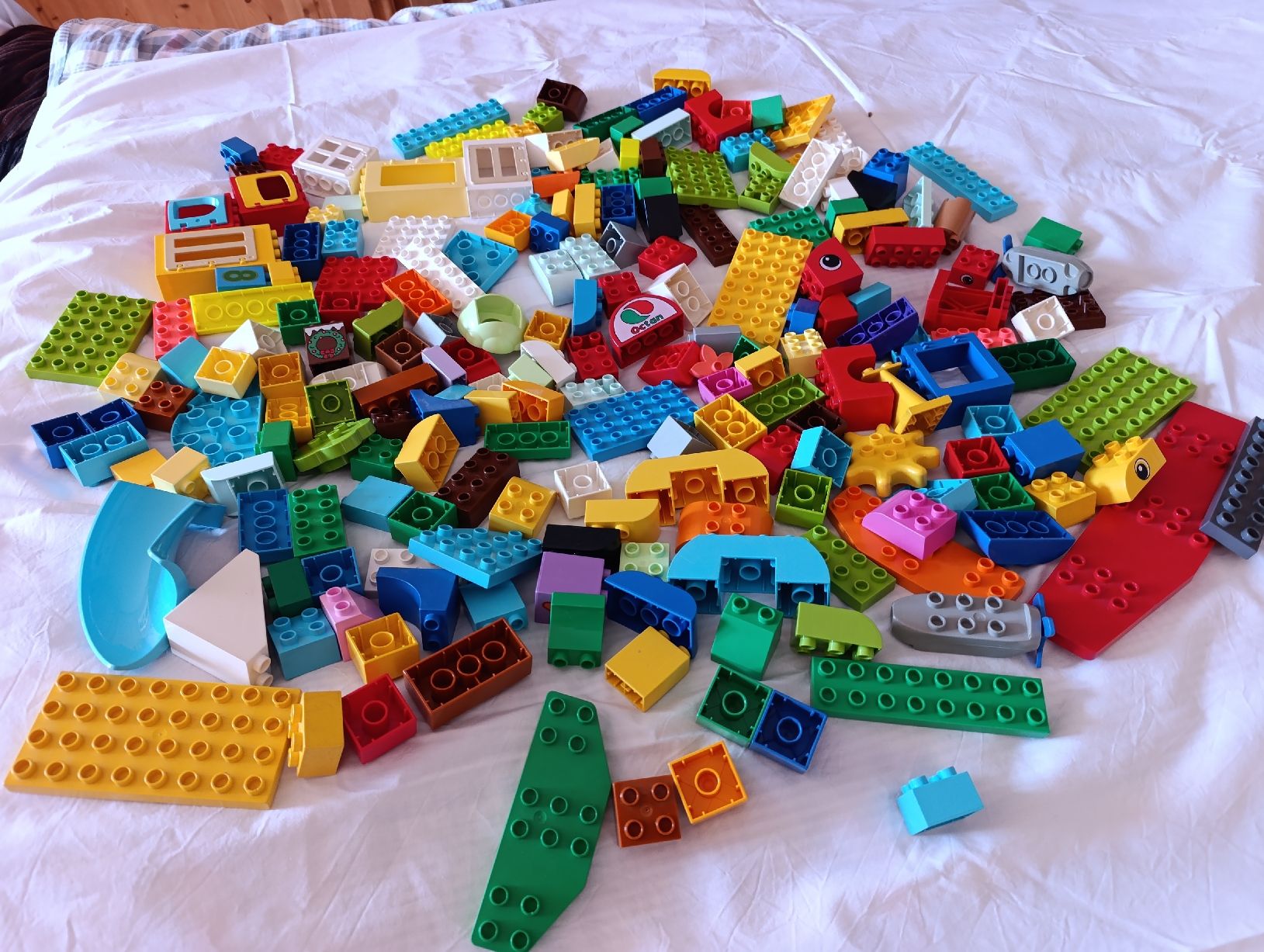Lego Spielzeuge: 200 Lego Duplo Bausteine – Gebraucht aus Oberarth von sil_9dfs 7