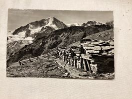 Arolla chottes de Pra-Gra 1961
