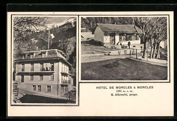 Ansichtskarten: AK Morcles, Hotel de Morcles – Gebraucht aus Berlin von bartko-reher