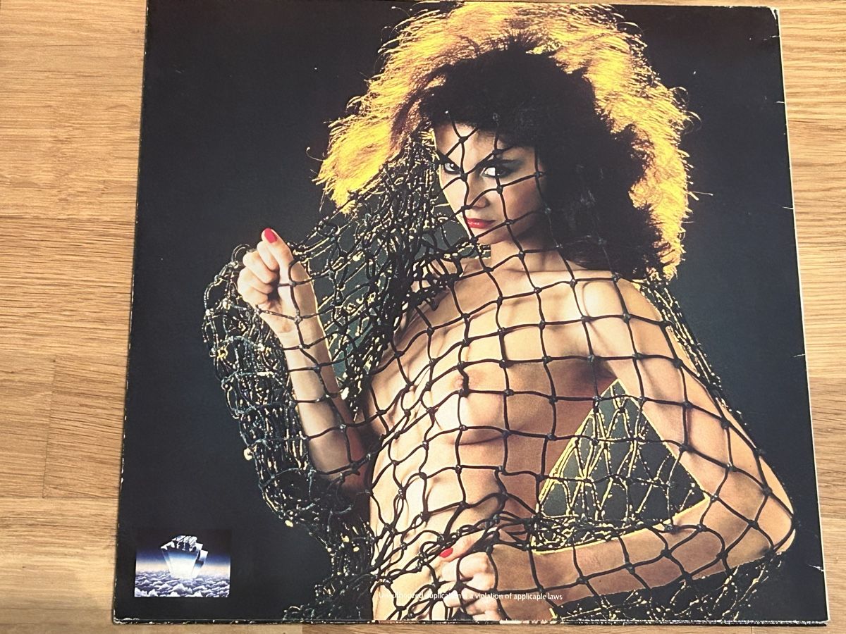 Dischi in vinile: Raphael. Gesuchte Maxi. 1986. Saylem / Dream Love – Usato da Faulensee venduto da Mizuno06 1