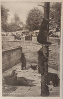 BERN  -  La Fosse aux Ours