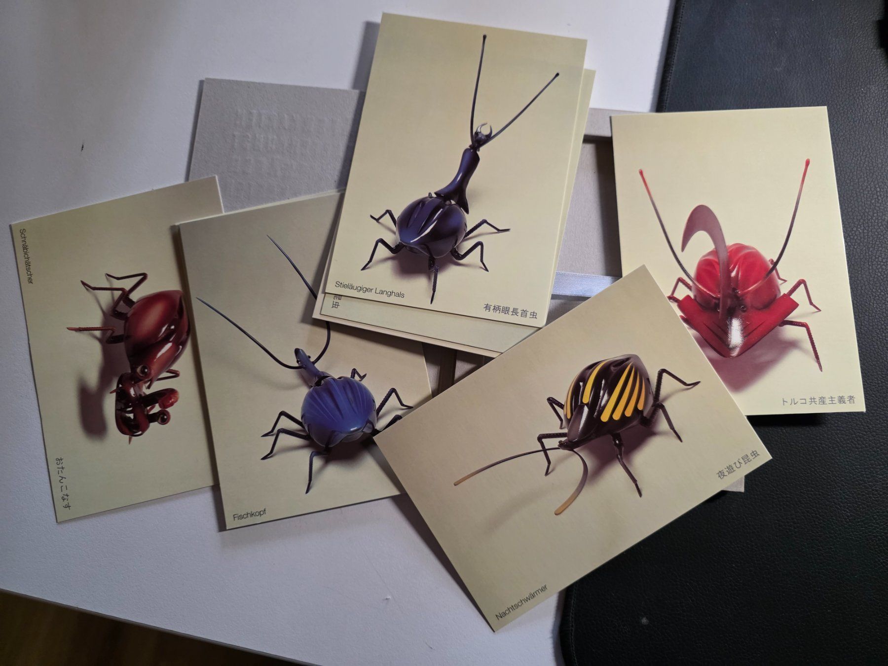 Bücher: Käfer Kunst Karten - Set - Sandro Zimmermann Bern – Gebraucht aus Walterswil BE von Lonitti 1