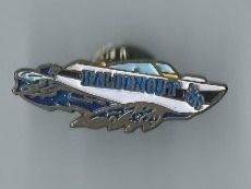 Haldengut  Pin