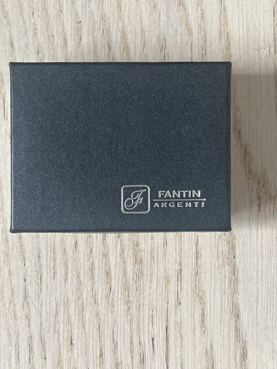 Ohrringe & -stecker: Fantin Argenti Silver Earrings - Timeless Treasure! – Gebraucht aus Dully von rev_l7jp 1