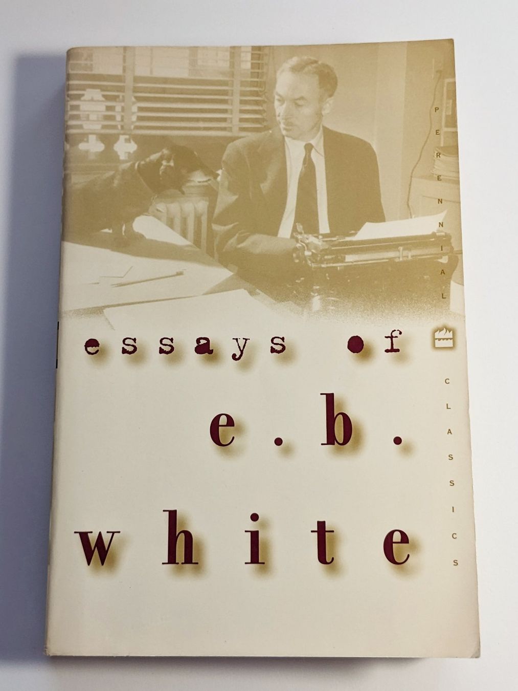 Libri: Essays of E.B.White – Usato da Meilen venduto da GypsyCat