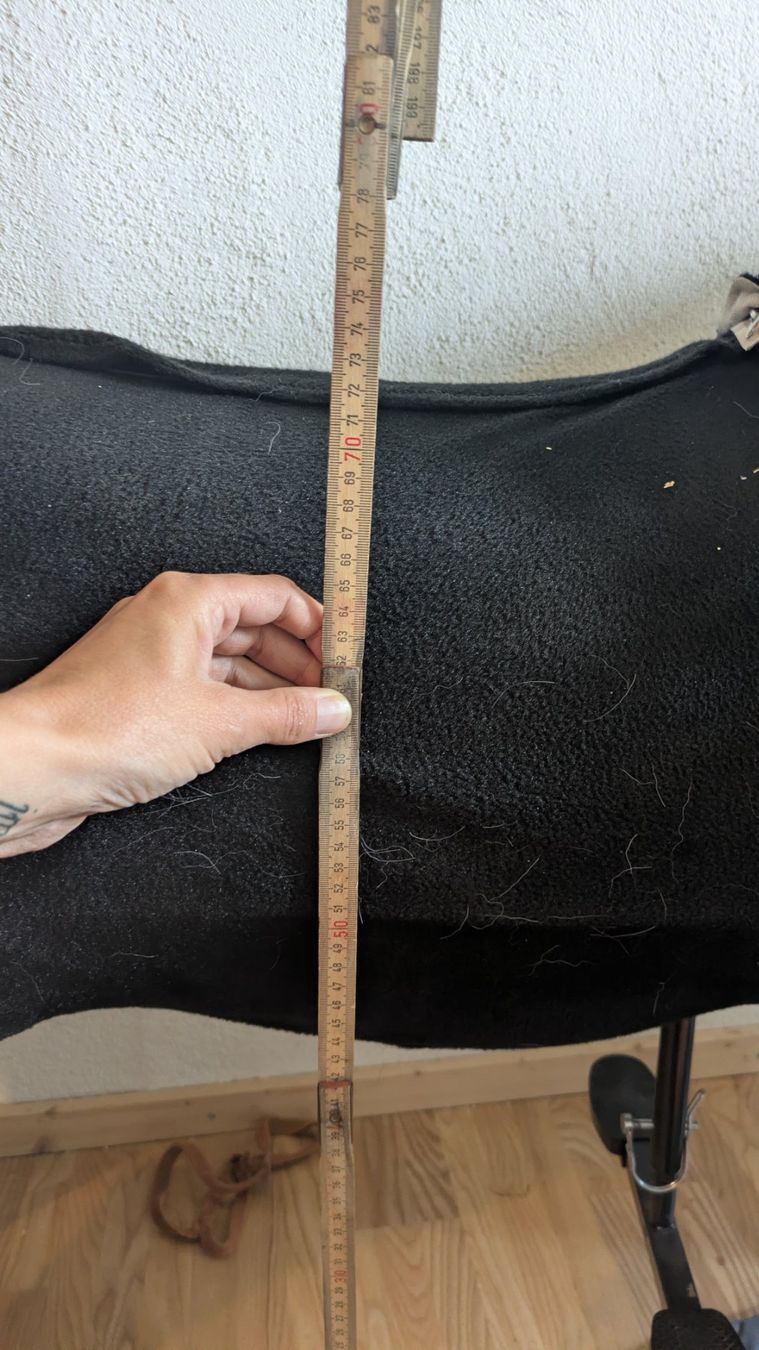 Spielzeuge: Animal Riding Reitpferd – Gebraucht aus Lommis von susannekoenig 5