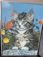 Süsses Kätzchen Puzzle 500Teile — Sommer-Deko für Zuhause