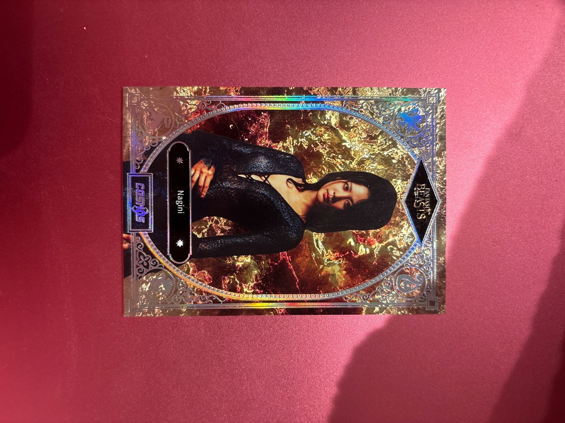 Carte collezionabili: Fantastic Beasts Trading Cards – Nuovo (secondo la descrizione) da Schindellegi venduto da lea_kjf5
