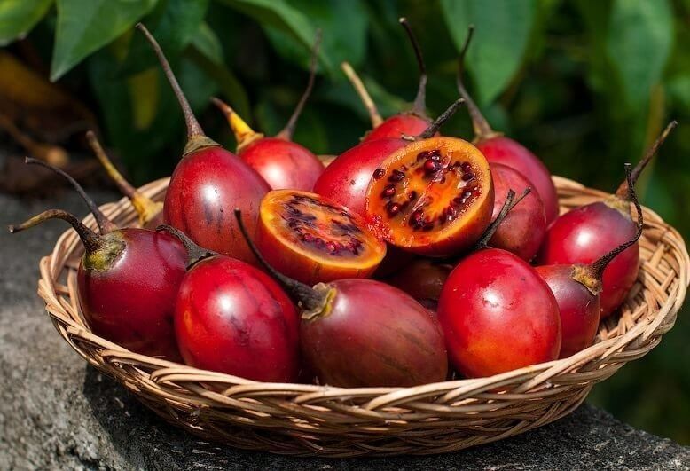 Tamarillo Baumtomate Rot 10 Samen Kaufen auf Ricardo