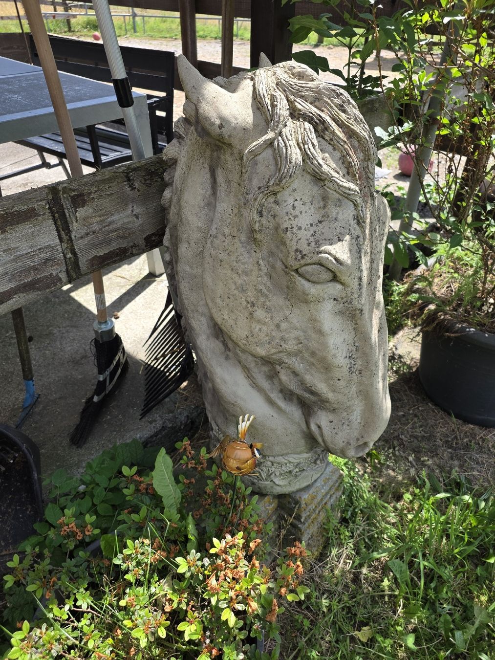 Sculptures & Statues: Pferdekopf Statue – D'occasion à Schübelbach par orson82 1