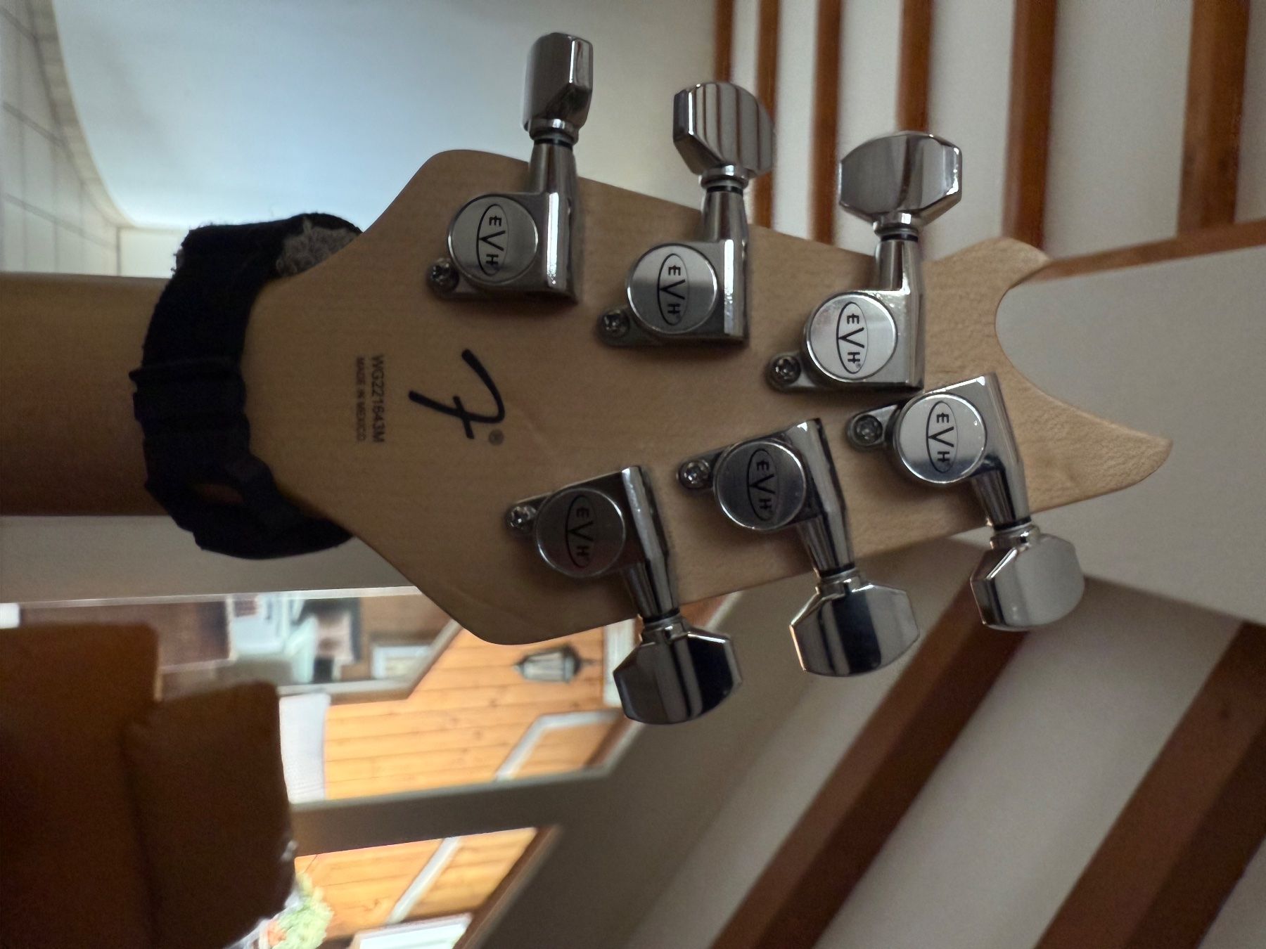 EVH Strumenti musicali: EVH Wolfgang Special MX – Usato da Hünenberg venduto da gipsy2308 9