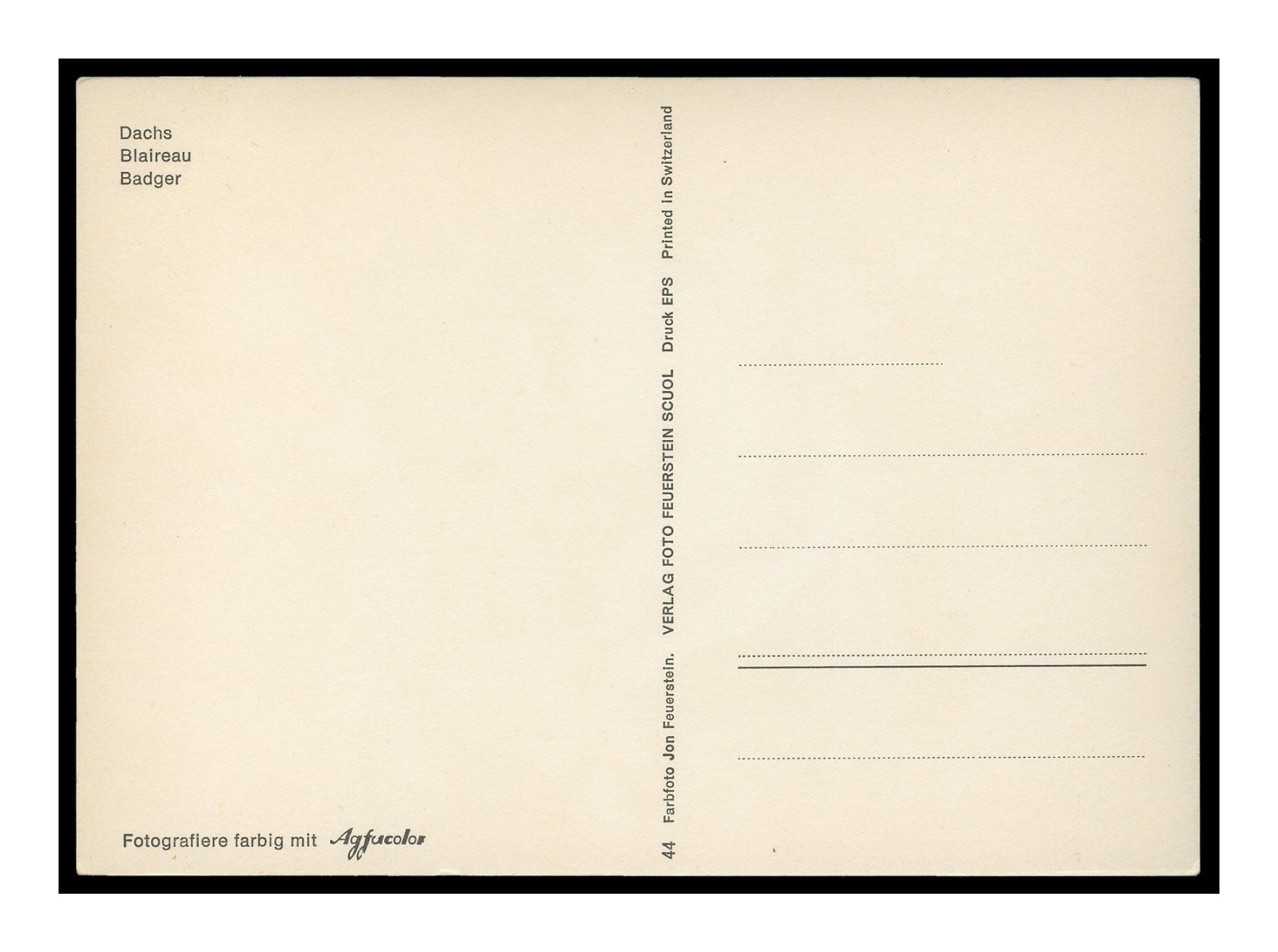 Cartoline postali: BLAIREAU - DACHS - BADGER "Farbafoto Jon Feuerstein" – Usato da Onex venduto da Lagorel01 1