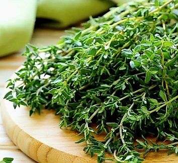 Piante & sementi: 100 Thymian Samen, Graines de Thym, Semi Timo, Thyme Seeds – Nuovo e nell'imballaggio originale da Rovio venduto da POSITIFFARTandPLANTS 2