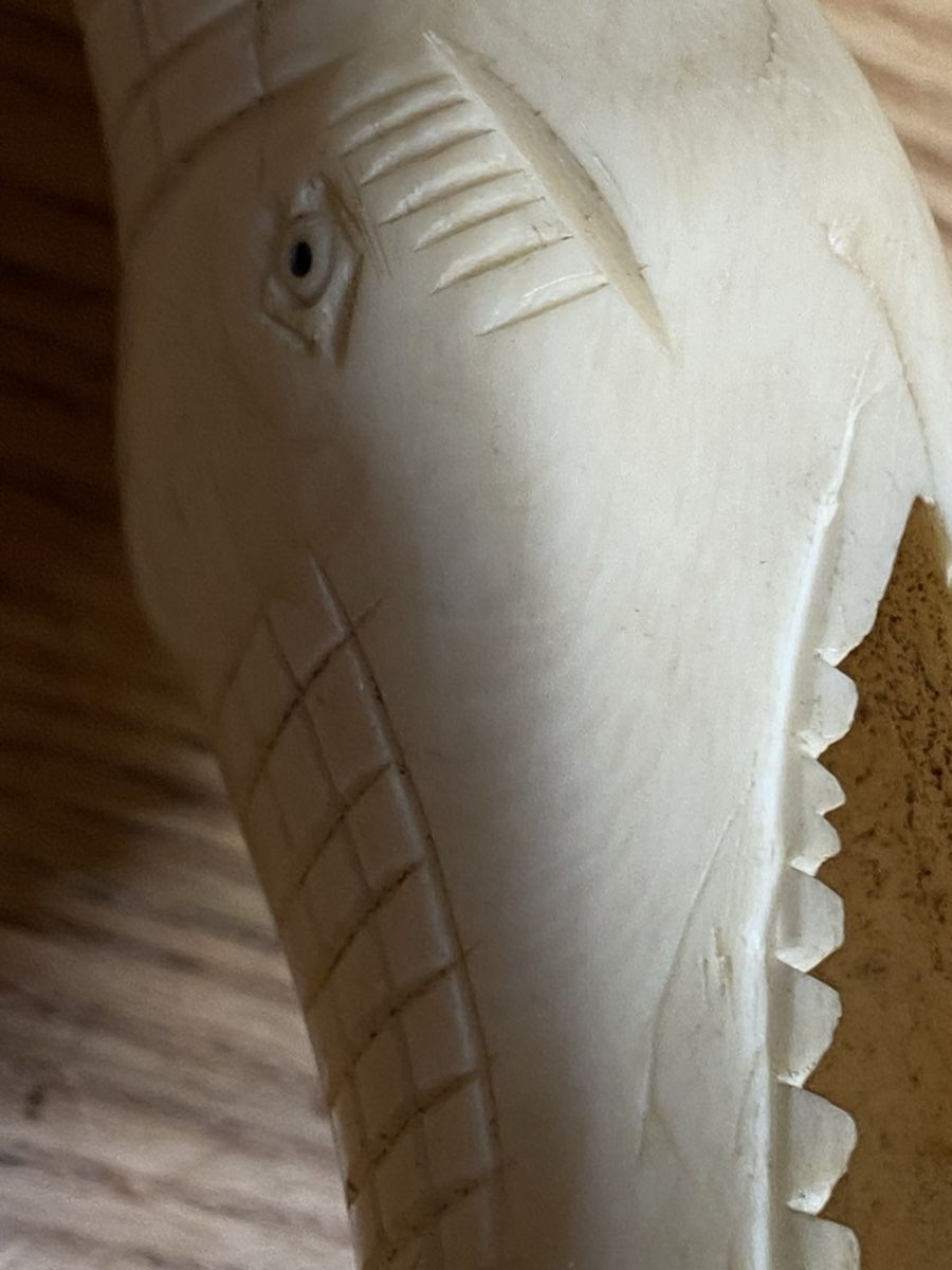 Sculture & Statue: Altes Krokodil aus Horn – Usato da Mosnang venduto da Goldwasser 6