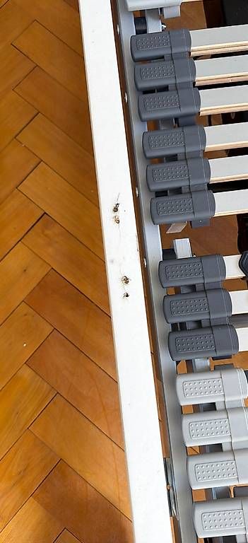 Letti: Bettgestell mit elektr. Lattenrost – Usato da Bern venduto da dexter123 4