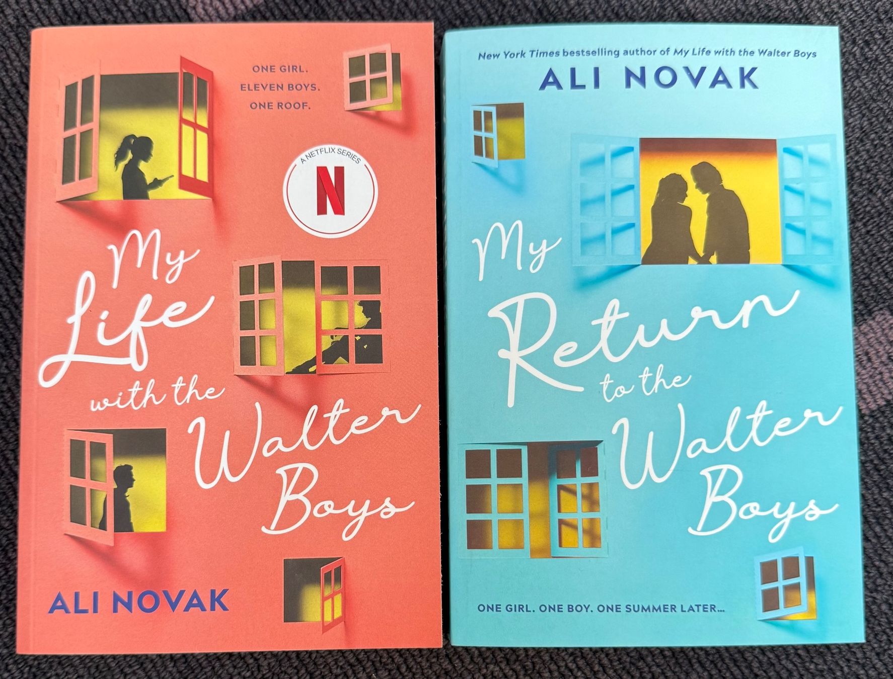 Livres: Ali Novak - The Walter Boys - Bücherset – Neuf (Voir description) à Eichberg par Lolapop18