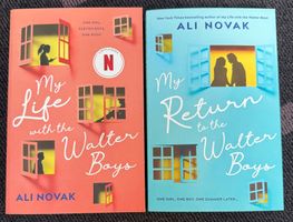 Ali Novak - The Walter Boys - Bücherset