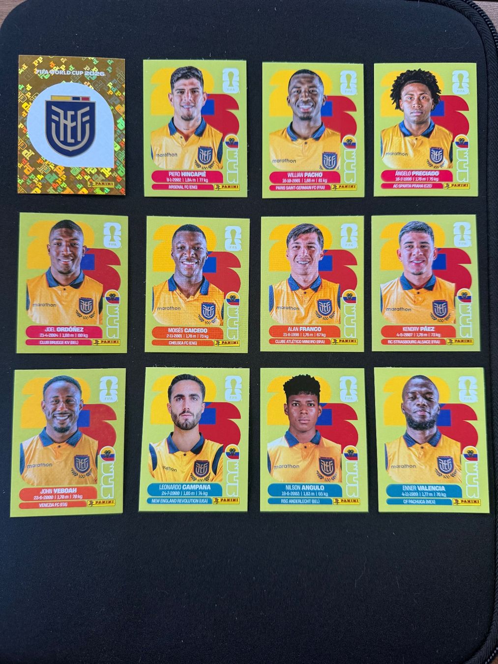 Panini Carte collezionabili: ECU - Ecuador / Panini WM 2026 Sticker – Nuovo (secondo la descrizione) da Lyss venduto da elm_66m6
