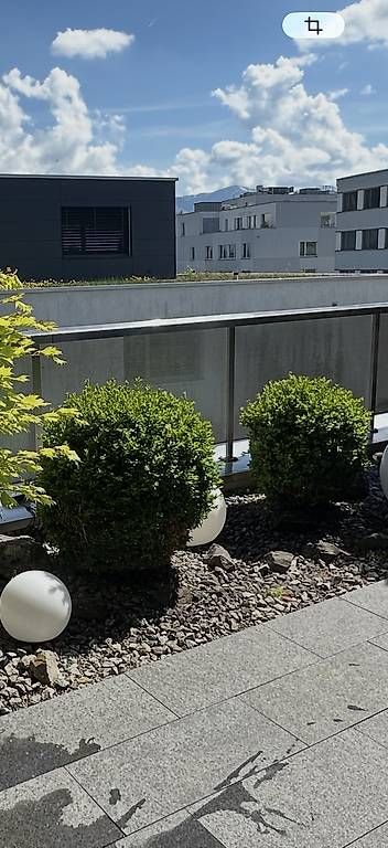Plantes & graines: Buchsbaum 2 Stück – D'occasion à Neuenkirch par Bitsa