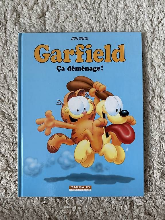 Comics: BD Garfield – Gebraucht aus Courfaivre von Lo_noi