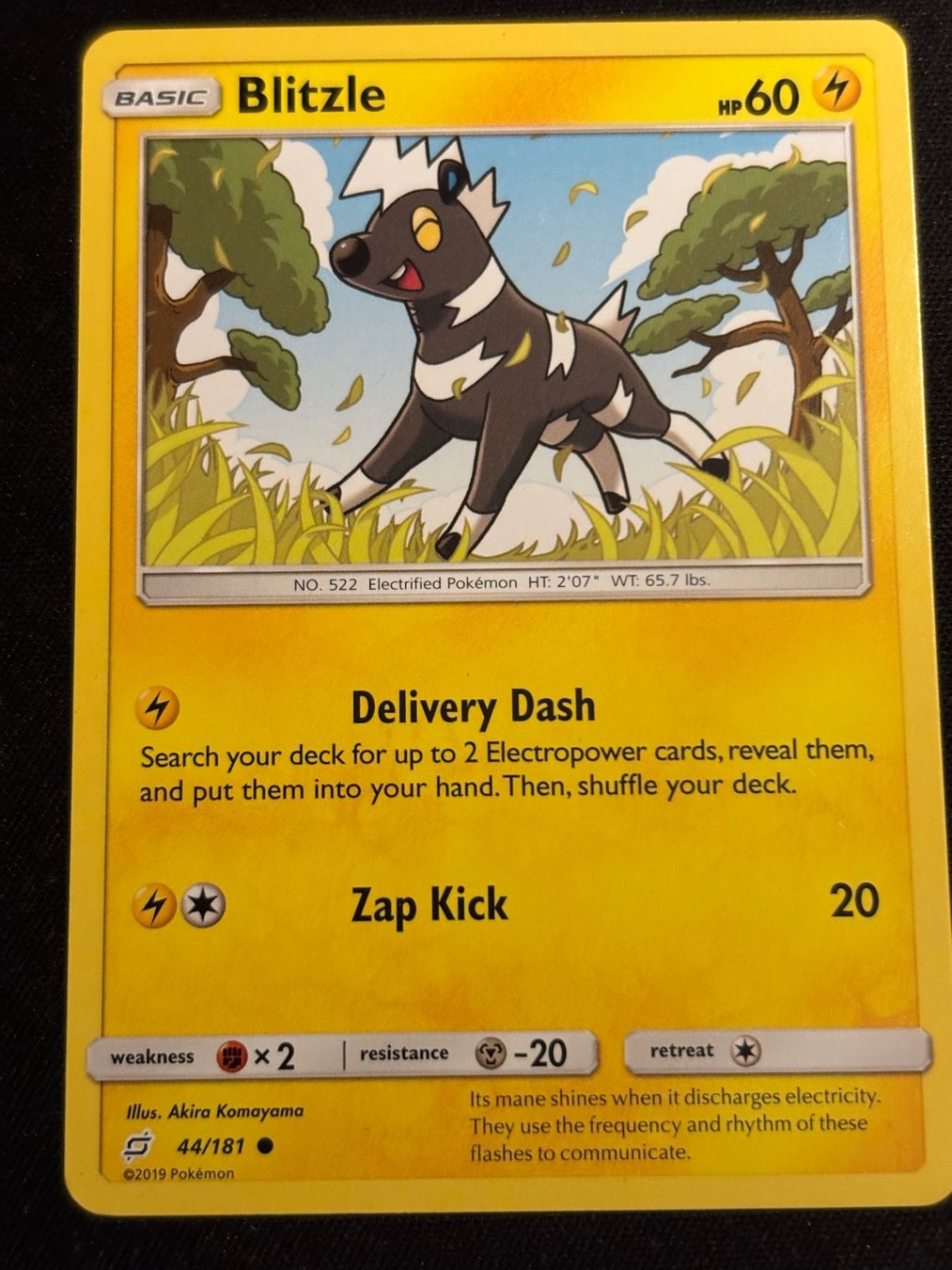 Pokémon Carte collezionabili: Pokemon Blitzle - Team-Up 44/181 - English – Usato da Bern venduto da Big_GS