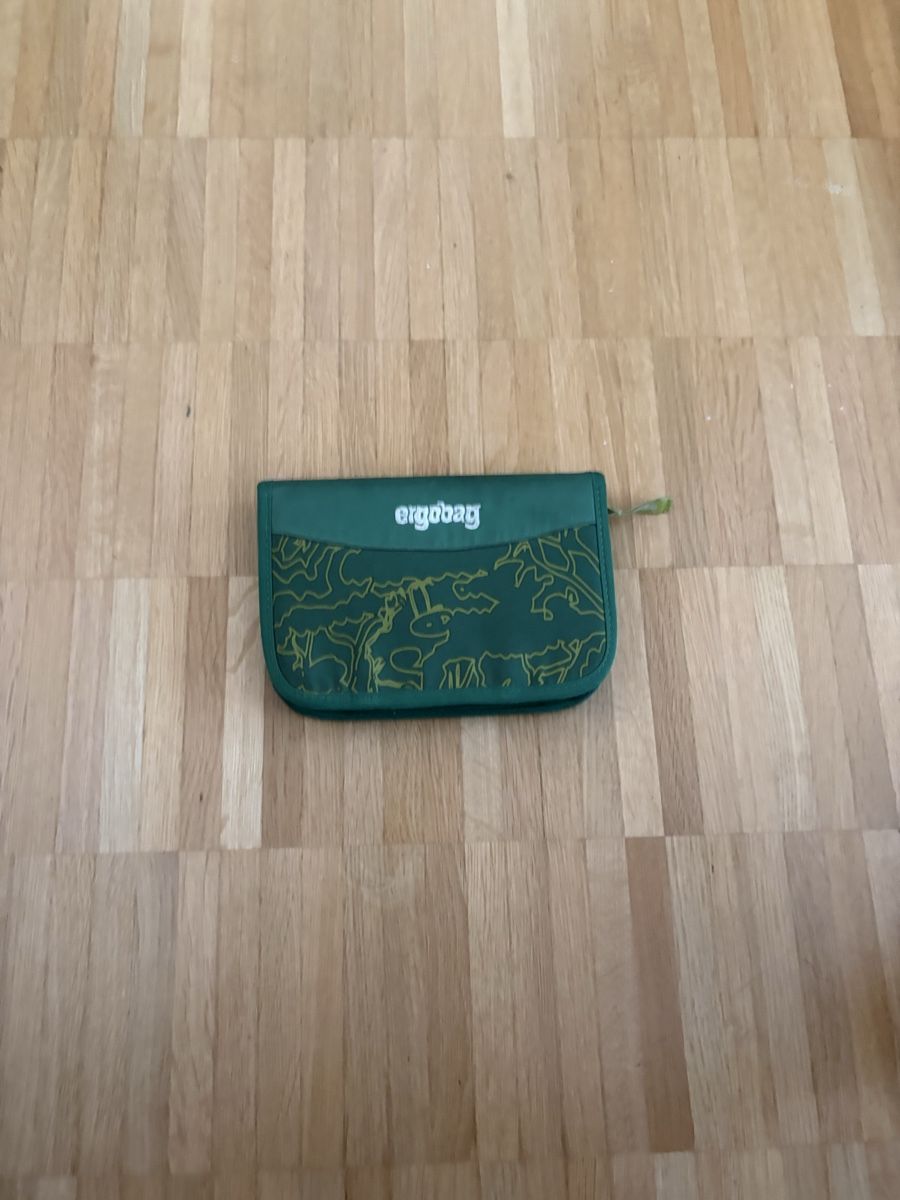 Ergobag Kindertaschen: Ergobag Rucksack grün gemustert – Gebraucht aus Kloten von fjehle72 3
