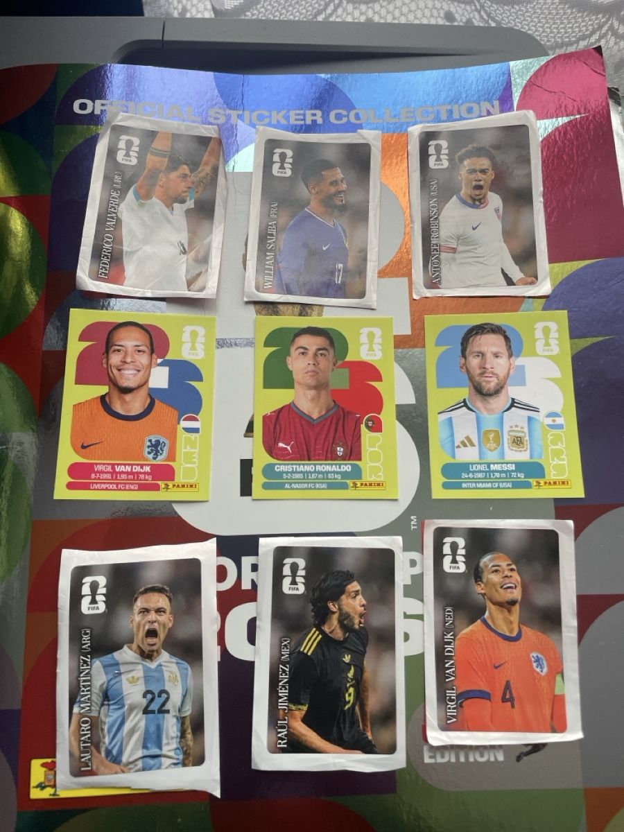 Panini Carte collezionabili: Panini – Usato da Wetzikon ZH venduto da Rasalingam