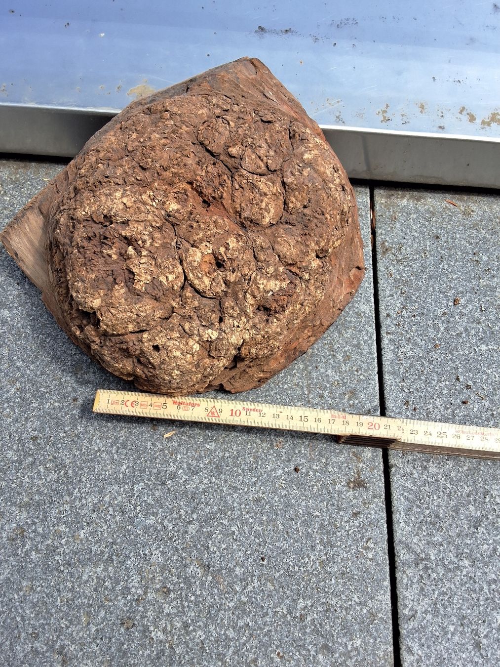 Articles en bois: Maserknolle Chechen drechseln – D'occasion à Birrwil par and_bp8z 2