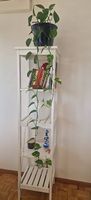 Étagère de rangement IKEA - Blanc