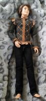 Mattel Puppe "Prinz Derek "