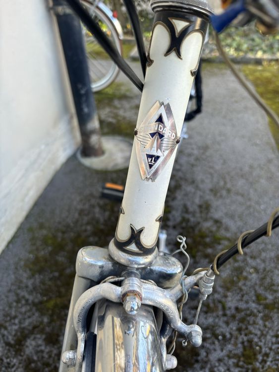 Damenfahrrad / Velo für LiebhaberInnen 3