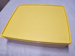 Tupper Aufbewahrungsbox mit Deckel 3Liter Inhalt