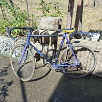 Trek 2300 Composite Rennrad Herren Fahrrad