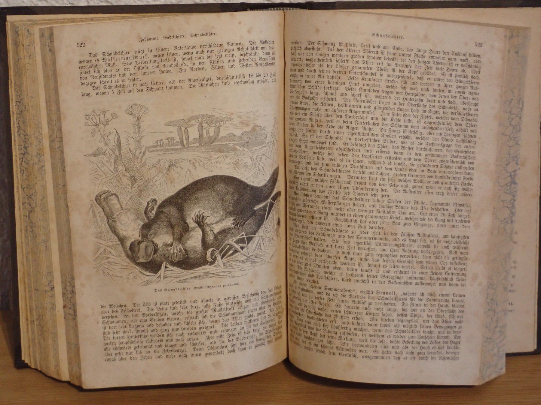Bücher: Antik  "Brem`s Illustriertes Thierleben", 1860 – Gebraucht aus Winterthur von Minerva_59