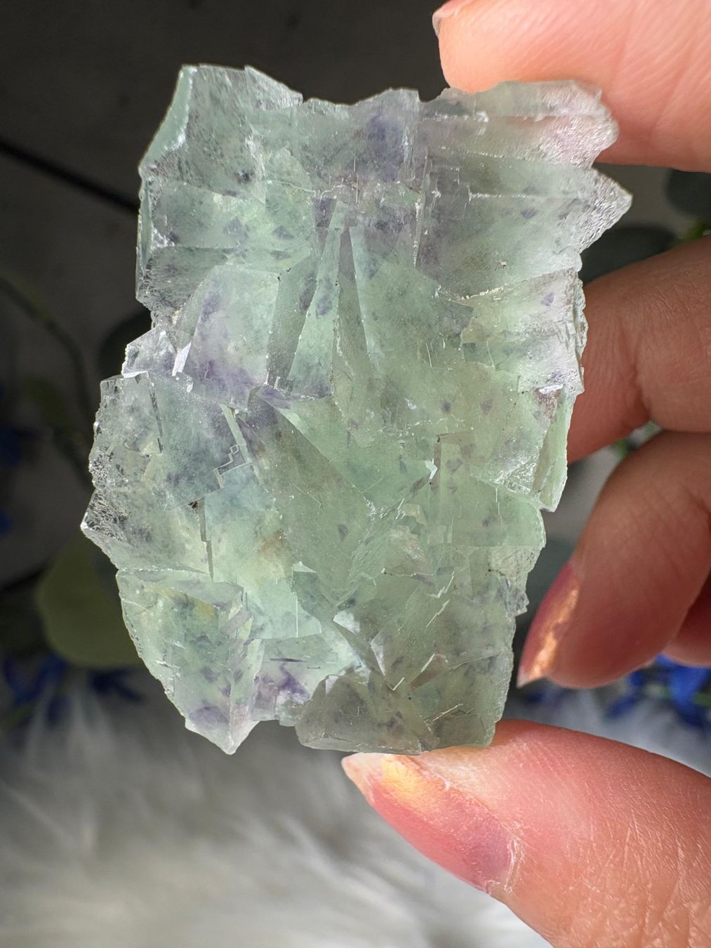 Pietre preziose: Grüner Fluorit – Nuovo (secondo la descrizione) da Neuheim venduto da m.hald 3