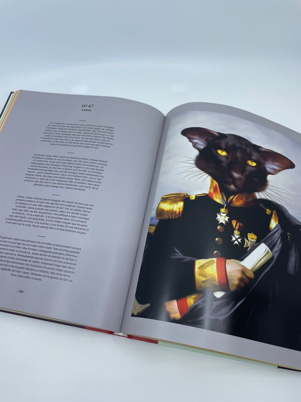 Libri: CAT - by Tein Lucasson – Nuovo (secondo la descrizione) da Pfeffingen venduto da Paco1991 6
