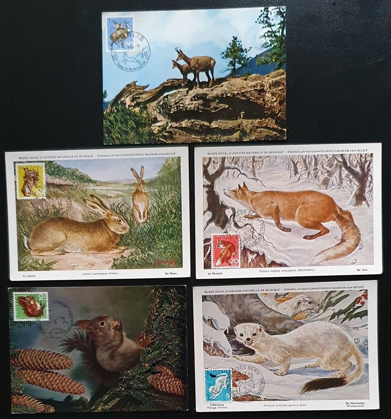 Alle Briefmarken: Maximumkarte Serie Pro Juventute 1966 – Gebraucht aus Kreuzlingen von Rschweiz1
