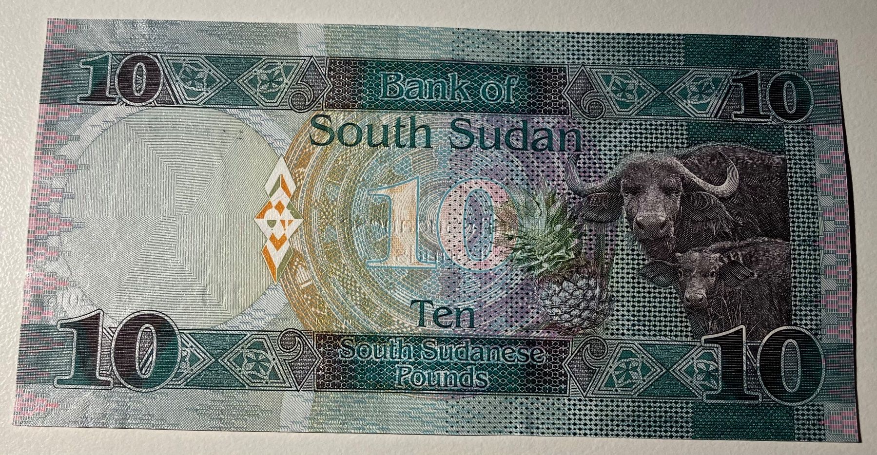 Banconote: Sudan 10 Pounds 2016 Neuwertig – Nuovo (secondo la descrizione) da Algetshausen venduto da Carrhard 1