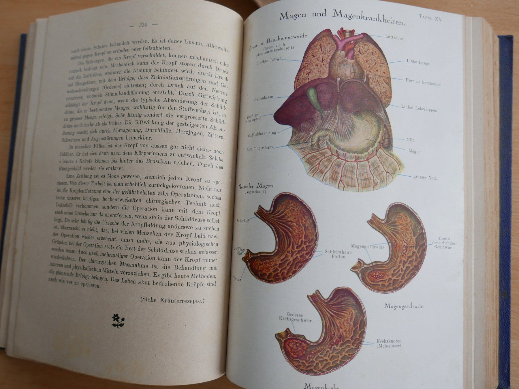 Libri: Antikes Buch "Selbsthilfe", mit Illustrationen – Usato da Rotkreuz venduto da nigal 4