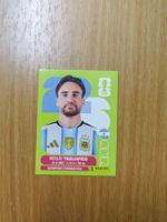 Panini WM 2026 Sticker - ARG 6