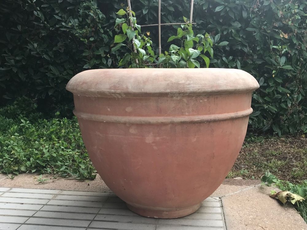 Terrakotta Topf Xxl