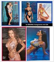 KELLY LE BROOK 2x +McCollough/Stahl/Henstridge Autogramm COA