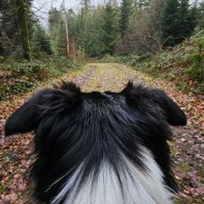 Profile image of 6810