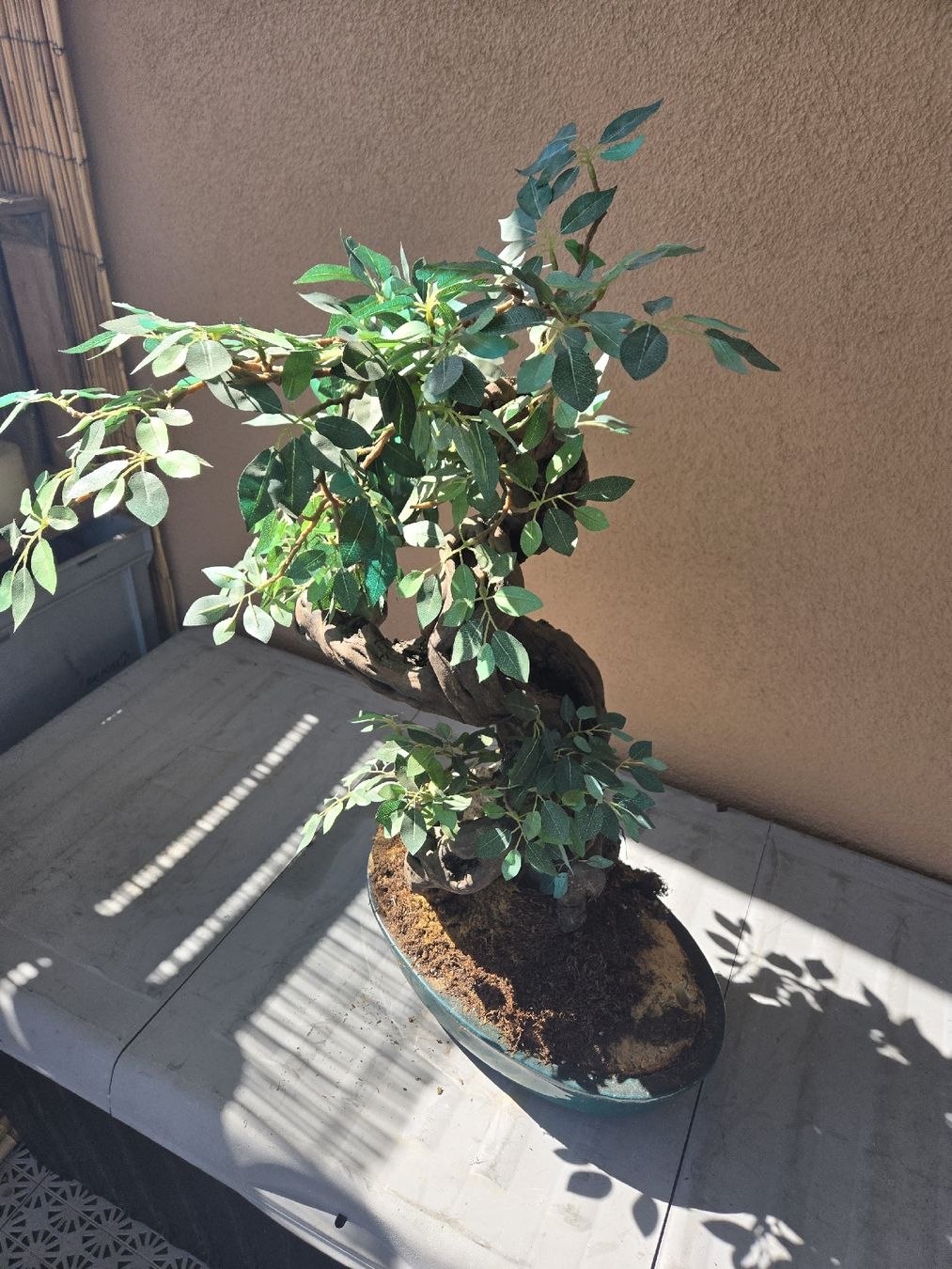 Tutte le decorazioni: Deko Kunst Bonsai Pflanze – Usato da Gutenburg venduto da shinobi0072 1